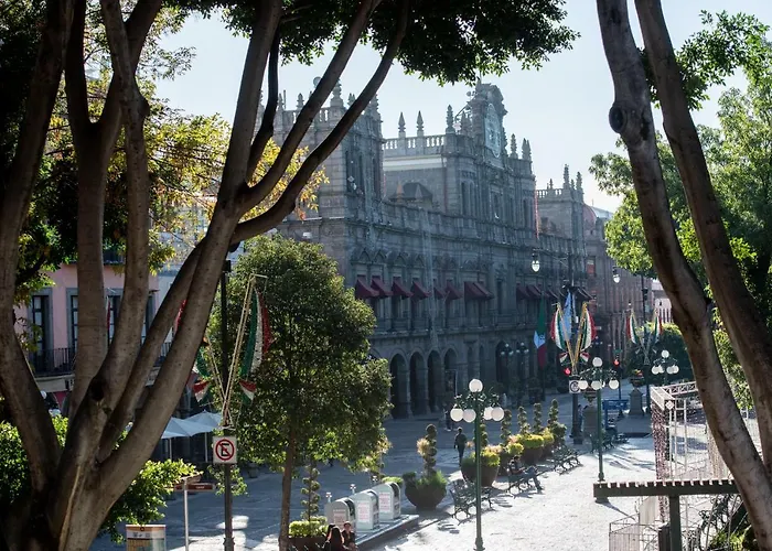 Zocalo Sensacional